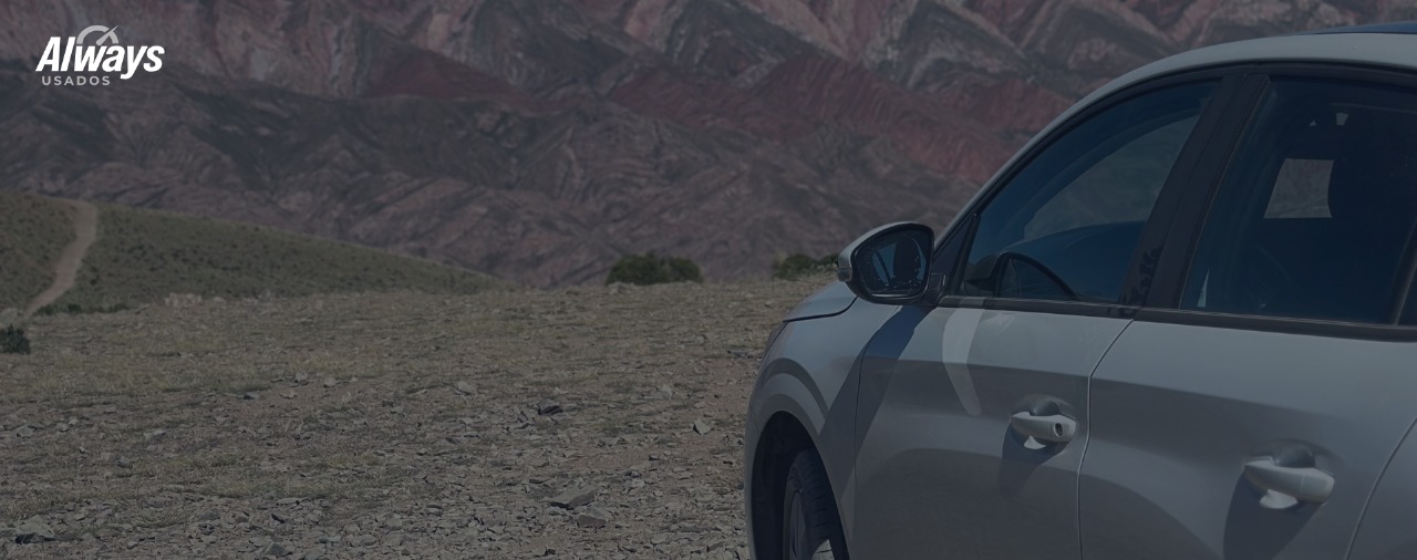 Descripción de la primera imagen