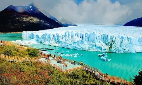 Imagen de CALAFATE